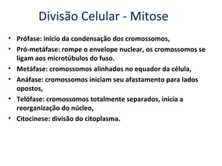 Divisão Celular - Mitose
• Prófase: início da condensação dos cromossomos,
• Pró-metáfase: rompe o envelope nuclear, os cromossomos se
  ligam aos microtúbulos do fuso.
• Metáfase: cromossomos alinhados no equador da célula,
• Anáfase: cromossomos iniciam seu afastamento para lados
  opostos,
• Telófase: cromossomos totalmente separados, inicia a
  reorganização do núcleo,
• Citocinese: divisão do citoplasma.
 