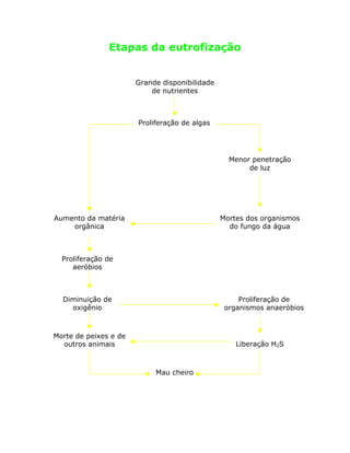 Etapas da eutrofização
Grande disponibilidade
de nutrientes
Proliferação de algas
Menor penetração
de luz
Mortes dos organismos
do fungo da água
Aumento da matéria
orgânica
Proliferação de
aeróbios
Diminuição de
oxigênio
Proliferação de
organismos anaeróbios
Morte de peixes e de
outros animais Liberação H2S
Mau cheiro
 