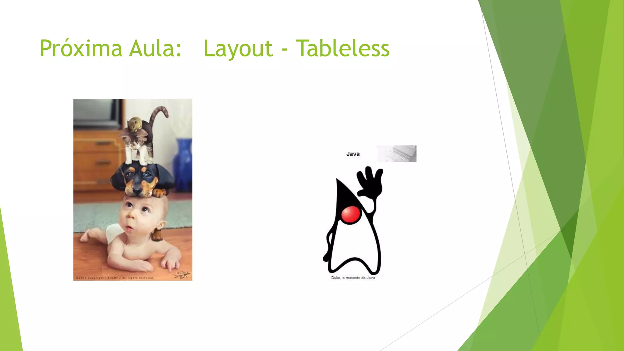 Próxima Aula: Layout - Tableless
 
