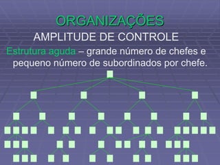 ORGANIZAÇÕES
AMPLITUDE DE CONTROLE
Estrutura aguda – grande número de chefes e
pequeno número de subordinados por chefe.
 