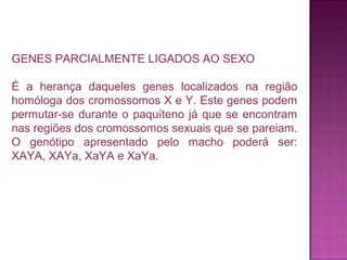 GENES PARCIALMENTE LIGADOS AO SEXO
É a herança daqueles genes localizados na região
homóloga dos cromossomos X e Y. Este genes podem
permutar-se durante o paquíteno já que se encontram
nas regiões dos cromossomos sexuais que se pareiam.
O genótipo apresentado pelo macho poderá ser:
XAYA, XAYa, XaYA e XaYa.

 