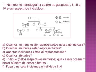 1- Numere no heredograma abaixo as gerações I, II, III e
IV e os respectivos indivíduos:

a) Quantos homens estão representados nessa genealogia?
b) Quantas mulheres estão representadas?
c) Quantos indivíduos estão aí representados?
d) Quantos afetados?
e) Indique (pelos respectivos números) que casais possuem
maior número de descendentes.
f) Faça uma seta indicando o indivíduo III.6

 