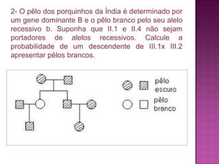 2- O pêlo dos porquinhos da Índia é determinado por
um gene dominante B e o pêlo branco pelo seu alelo
recessivo b. Suponha que II.1 e II.4 não sejam
portadores de alelos recessivos. Calcule a
probabilidade de um descendente de III.1x III.2
apresentar pêlos brancos.

 