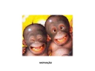 MOTIVAÇÃO
 