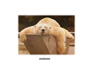 DESÂNIMO
 