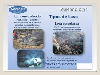 Magda Charrua 2010/2011
COLÉGIO DA LAPA 11
 