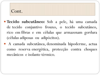 Cont.
 Tecido subcutâneo: Sob a pele, há uma camada
de tecido conjuntivo frouxo, o tecido subcutâneo,
rico em fibras e em células que armazenam gordura
(células adiposas ou adipócitos).
 A camada subcutânea, denominada hipoderme, actua
como reserva energética, protecção contra choques
mecânicos e isolante térmico.
 