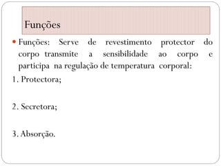 Funções
 Funções: Serve de revestimento protector do
corpo transmite a sensibilidade ao corpo e
participa na regulação de temperatura corporal:
1. Protectora;
2. Secretora;
3.Absorção.
 