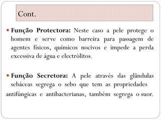 Cont.
 Função Protectora: Neste caso a pele protege o
homem e serve como barreira para passagem de
agentes físicos, químicos nocivos e impede a perda
excessiva de água e electrólitos.
 Função Secretora: A pele através das glândulas
sebáceas segrega o sebo que tem as propriedades
antifúngicas e antibacterianas, também segrega o suor.
 