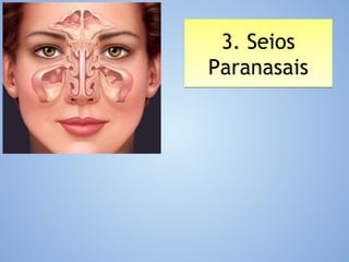 3. Seios
Paranasais
3. Seios
Paranasais
 