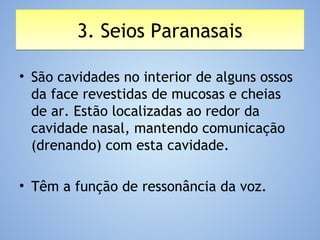 3. Seios Paranasais3. Seios Paranasais
• São cavidades no interior de alguns ossos
da face revestidas de mucosas e cheias
de ar. Estão localizadas ao redor da
cavidade nasal, mantendo comunicação
(drenando) com esta cavidade.
• Têm a função de ressonância da voz.
 