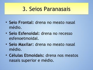 3. Seios Paranasais3. Seios Paranasais
• Seio Frontal: drena no meato nasal
médio.
• Seio Esfenoidal: drena no recesso
esfenoetmoidal.
• Seio Maxilar: drena no meato nasal
médio.
• Células Etmoidais: drena nos meatos
nasais superior e médio.
 