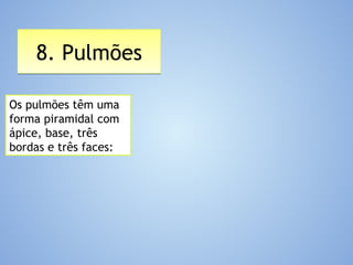 8. Pulmões8. Pulmões
Os pulmões têm uma
forma piramidal com
ápice, base, três
bordas e três faces:
 