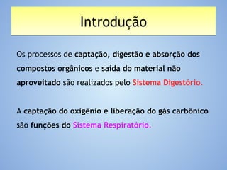 IntroduçãoIntrodução
Os processos de captação, digestão e absorção dos
compostos orgânicos e saída do material não
aproveitado são realizados pelo Sistema Digestório.
A captação do oxigênio e liberação do gás carbônico
são funções do Sistema Respiratório.
 