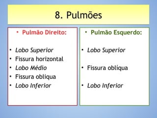 8. Pulmões8. Pulmões
• Pulmão Direito:
• Lobo Superior
• Fissura horizontal
• Lobo Médio
• Fissura obliqua
• Lobo Inferior 
• Pulmão Esquerdo:
• Lobo Superior
• Fissura oblíqua
• Lobo Inferior
 