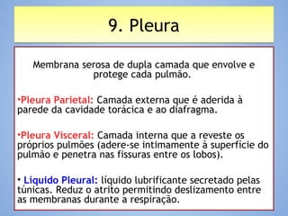 9. Pleura9. Pleura
Membrana serosa de dupla camada que envolve e
protege cada pulmão.
•Pleura Parietal: Camada externa que é aderida à
parede da cavidade torácica e ao diafragma.
•Pleura Visceral: Camada interna que a reveste os
próprios pulmões (adere-se intimamente à superfície do
pulmão e penetra nas fissuras entre os lobos).
• Líquido Pleural: líquido lubrificante secretado pelas
túnicas. Reduz o atrito permitindo deslizamento entre
as membranas durante a respiração.
 