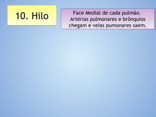 10. Hilo10. Hilo Face Medial de cada pulmão.
Artérias pulmonares e brônquios
chegam e veias pumonares saem.
Face Medial de cada pulmão.
Artérias pulmonares e brônquios
chegam e veias pumonares saem.
 