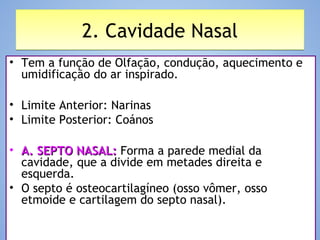 2. Cavidade Nasal2. Cavidade Nasal
• Tem a função de Olfação, condução, aquecimento e
umidificação do ar inspirado.
• Limite Anterior: Narinas
• Limite Posterior: Coános
• A. SEPTO NASAL:A. SEPTO NASAL: Forma a parede medial da
cavidade, que a divide em metades direita e
esquerda.
• O septo é osteocartilagíneo (osso vômer, osso
etmoide e cartilagem do septo nasal).
 