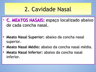 2. Cavidade Nasal2. Cavidade Nasal
• C. MEATOS NASAIS:C. MEATOS NASAIS: espaço localizado abaixo
de cada concha nasal.
• Meato Nasal Superior: abaixo da concha nasal
superior.
• Meato Nasal Médio: abaixo da concha nasal média.
• Meato Nasal Inferior: abaixo da concha nasal
inferior.
 