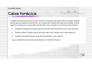 A região da caixa torácica do corpo humano é composta pelo osso esterno e pelas costelas,
sendo que as costelas consistem em um conjunto de 12 pares de ossos encurvados. O osso
esterno consiste em um osso plano em formato único, situado no centro da caixa torácica.
● Costelas verdadeiras (7 pares que se articulam de forma direta com o osso esterno);
● Costelas falsas (3 pares que se articulam de forma indireta com o osso esterno);
● Costelas flutuantes (2 pares que não se prendem a osso algum).
Logo, a região da caixa torácica apresenta um total de 25 ossos.
Caixa torácica
DIVISÃO AXIAL
 