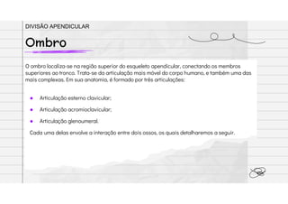 O ombro localiza-se na região superior do esqueleto apendicular, conectando os membros
superiores ao tronco. Trata-se da articulação mais móvel do corpo humano, e também uma das
mais complexas. Em sua anatomia, é formado por três articulações:
● Articulação esterno clavicular;
● Articulação acromioclavicular;
● Articulação glenoumeral.
Cada uma delas envolve a interação entre dois ossos, os quais detalharemos a seguir.
Ombro
DIVISÃO APENDICULAR
 