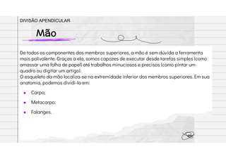 De todos os componentes dos membros superiores, a mão é sem dúvida a ferramenta
mais polivalente. Graças a ela, somos capazes de executar desde tarefas simples (como
amassar uma folha de papel) até trabalhos minuciosos e precisos (como pintar um
quadro ou digitar um artigo).
O esqueleto da mão localiza-se na extremidade inferior dos membros superiores. Em sua
anatomia, podemos dividi-la em:
● Carpo;
● Metacarpo;
● Falanges.
Mão
DIVISÃO APENDICULAR
 