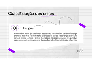 Classificação dos ossos
01 Longos
Comprimento maior que a largura e a espessura. Possuem uma parte média longa,
chamada de diáfise e extremidades chamadas de epífise. Nas crianças existe uma
camada entre a epífise e a diáfise chamada de placa epifisária, que é responsável
pelo crescimento em comprimento do osso. Exemplos: fêmur, rádio, ulna e falanges;
 