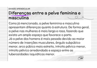 Como já mencionado, a pelve feminina e masculina
apresentam diferenças quanto à estrutura. De forma geral,
a pelve nas mulheres é mais larga e rasa, fazendo que
exista um amplo espaço que favorece o parto.
Já a pelve dos homens é mais pesada devido ao maior
número de inserções musculares, ângulo subpúbico
menor, arco púbico mais estreito, introito pélvico menor,
introito pélvico arredondado e espaço entre as
tuberosidades isquiáticas menor.
Diferenças entre a pelve feminina e
masculina
DIVISÃO APENDICULAR
 