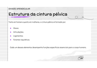 Tanto em homens quanto em mulheres, a cintura pélvica é formada por:
● Ossos;
● Articulações;
● Ligamentos;
● Forames isquiáticos.
Cada um desses elementos desempenha funções específicas essenciais para o corpo humano.
Estrutura da cintura pélvica
DIVISÃO APENDICULAR
 