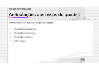 A estrutura dos ossos do quadril abriga 4 articulações:
● Articulações lombossacrais;
● Articulação sacrococcígea;
● Articulação sacroilíaca;
● Sínfise púbica.
Articulações dos ossos do quadril
DIVISÃO APENDICULAR
 