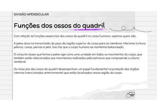 Com relação às funções essenciais dos ossos do quadril no corpo humano, vejamos quais são.
A pelve atua na transmissão do peso da região superior do corpo para os membros inferiores (cintura
pélvica, coxas, pernas e pés). Isso faz que o corpo humano se mantenha balanceado;
O conjunto ósseo que forma a pelve age como uma unidade em todos os movimentos do corpo, que
também estão relacionados aos movimentos realizados pela estrutura que compreende a coluna
vertebral;
Os músculos dos ossos do quadril desempenham um papel fundamental na proteção dos órgãos
internos (mencionados anteriormente) que estão localizados nessa região do corpo.
Funções dos ossos do quadril
DIVISÃO APENDICULAR
 