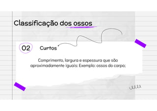 Classificação dos ossos
02 Curtos
Comprimento, largura e espessura que são
aproximadamente iguais: Exemplo: ossos do carpo;
 