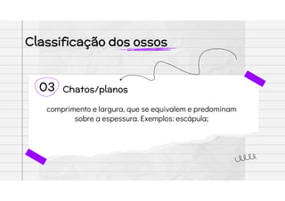 Classificação dos ossos
03 Chatos/planos
comprimento e largura, que se equivalem e predominam
sobre a espessura. Exemplos: escápula;
 