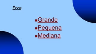 Boca
Grande
Pequena
Mediana
 