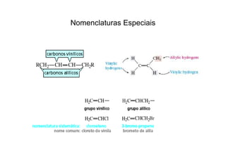 Nomenclaturas Especiais
 