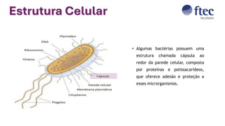 Estrutura Celular
• Algumas bactérias possuem uma
estrutura chamada cápsula ao
redor da parede celular, composta
por proteínas e polissacarídeos,
que oferece adesão e proteção a
esses microrganismos.
 