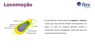 Locomoção
• As bactérias se movem através de flagelos e fímbrias,
sendo que estas últimas também desempenham um
papel na troca de material genético durante a
reprodução sexual (conjugação), razão pela qual são
chamadas de fímbria sexual.
 