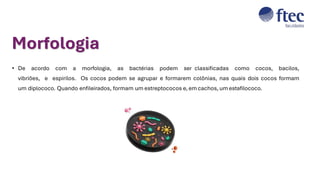 • De acordo com a morfologia, as bactérias podem ser classificadas como cocos, bacilos,
vibriões, e espirilos. Os cocos podem se agrupar e formarem colônias, nas quais dois cocos formam
um diplococo. Quando enfileirados, formam um estreptococos e, em cachos, um estafilococo.
Morfologia
 