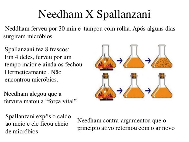 Aula 2 bio