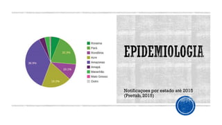Notificaçoes por estado até 2015
(Prettzb, 2015)
 