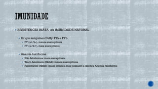 ▪ RESISTENCIA INATA ou IMUNIDADE NATURAL
▪ Grupo sanguíneo Duffy: FYa e FYb
▪ FY (a+/b-), menos susceptíveis
▪ FY (a-/b+), mais susceptíveis
▪ Anemia falciforme
▪ Não falcêmicos: mais susceptíveis
▪ Traço falcêmico (HbAS): menos susceptíveis
▪ Falcêmicos (HbSS): quase imunes, mas possuem a doença Anemia Falciforme
 