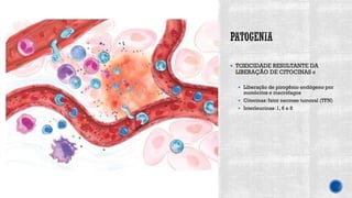 ▪ TOXICIDADE RESULTANTE DA
LIBERAÇÃO DE CITOCINAS «
▪ Liberação de pirogênio endógeno por
monócitos e macrófagos
▪ Citocinas: fator necrose tumoral (TFN)
▪ Interleucinas:1, 6 e 8
 