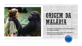 ▪ Gorilla foi o hospedeiro inicial das espécies
de malária humana
▪ Plasmoium knowlesi ainda não ultrpassou a
barreira entre as espécies
 