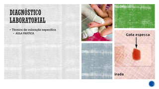 ▪ Técnica de coloração específica
▪ AULA PRÁTICA
 