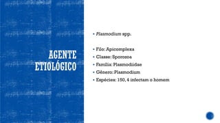 AGENTE
ETIOLÓGICO
▪ Plasmodium spp.
▪ Filo: Apicomplexa
▪ Classe: Sporozoa
▪ Família: Plasmodiidae
▪ Gênero: Plasmodium
▪ Espécies: 150, 4 infectam o homem
 