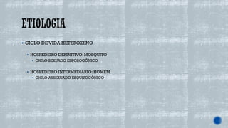 ▪ CICLO DE VIDA HETEROXENO
▪ HOSPEDEIRO DEFINITIVO: MOSQUITO
▪ CICLO SEXUADO ESPOROGÔNICO
▪ HOSPEDEIRO INTERMEDIÁRIO: HOMEM
▪ CICLO ASSEXUADO ESQUIZOGÔNICO
 