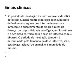 Sinais clínicos
 
•  O período de incubação é muito variável e de difícil 
definição. Clássicamente o período de incubação é 
definido como aquele que intermedeia entre a 
infecção e o aparecimento de sinais clínicos da 
doença  ou da positividade serológica, então a última 
é a definição correcta para o caso de infecção com B.
abortus. O período de incubação também é 
determinado pelo tamanho da dose infectiva, sexo, 
estado gestacional do animal, e a imunidade do 
mesmo. 
•  
 