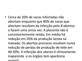 • Cerca de 20% de vacas infectadas não
abortam enquanto que 80% de vacas que
abortam resultam da infecção pelo B abortus
o fazem uma única vez. A placenta não é
consistentemente retida. Em média há
redução em 20% da produção láctea na
manada. Os abortos precoces resultam numa
redução de perdas de produção de leite em
40-50%. A infecção dos uberes é clinicamente
inaparente e os órgãos tem aparência
 