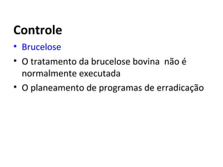 Controle
• Brucelose
• O tratamento da brucelose bovina não é
normalmente executada
• O planeamento de programas de erradicação
 