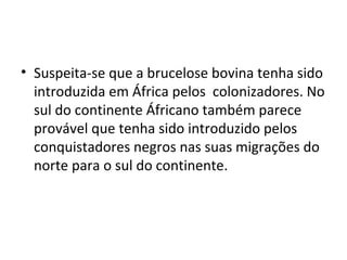 • Suspeita-se que a brucelose bovina tenha sido
introduzida em África pelos colonizadores. No
sul do continente Áfricano também parece
provável que tenha sido introduzido pelos
conquistadores negros nas suas migrações do
norte para o sul do continente.
 